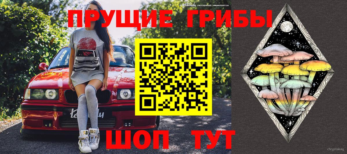 Шали  Псилоцибиновые грибы MAGIC MUSHROOMS  Вход с VPN  Галлюциногенные грибы Magic Shrooms 